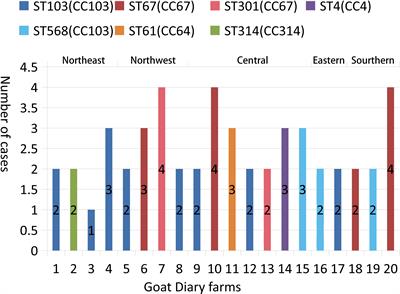 Molecular epidemiology, drug resistance, and virulence gene analysis of Streptococcus agalactiae isolates from dairy goats in backyard farms in China